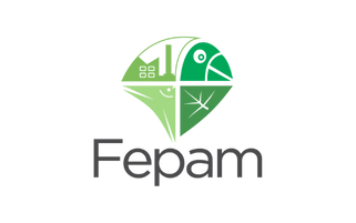 Link para o site da FEPAM
